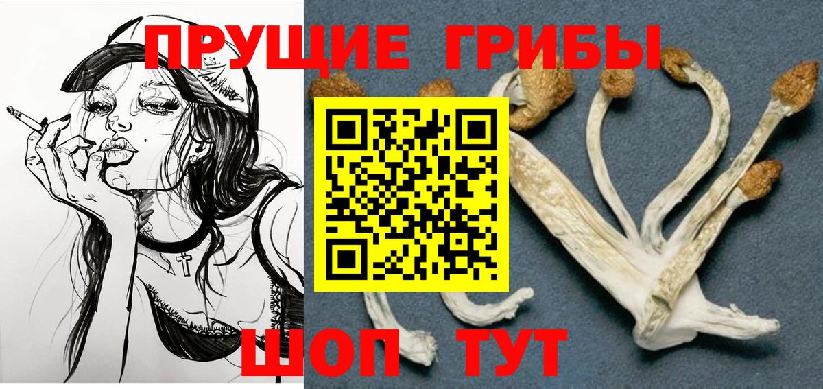 Норильск  Псилоцибиновые грибы мицелий  Вход с VPN 